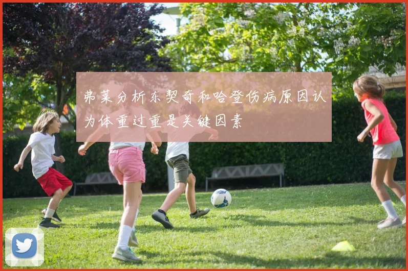 弗莱分析东契奇和哈登伤病原因认为体重过重是关键因素