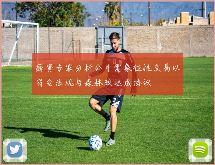 薪资专家分析公牛需象征性交易以符合法规与森林狼达成协议
